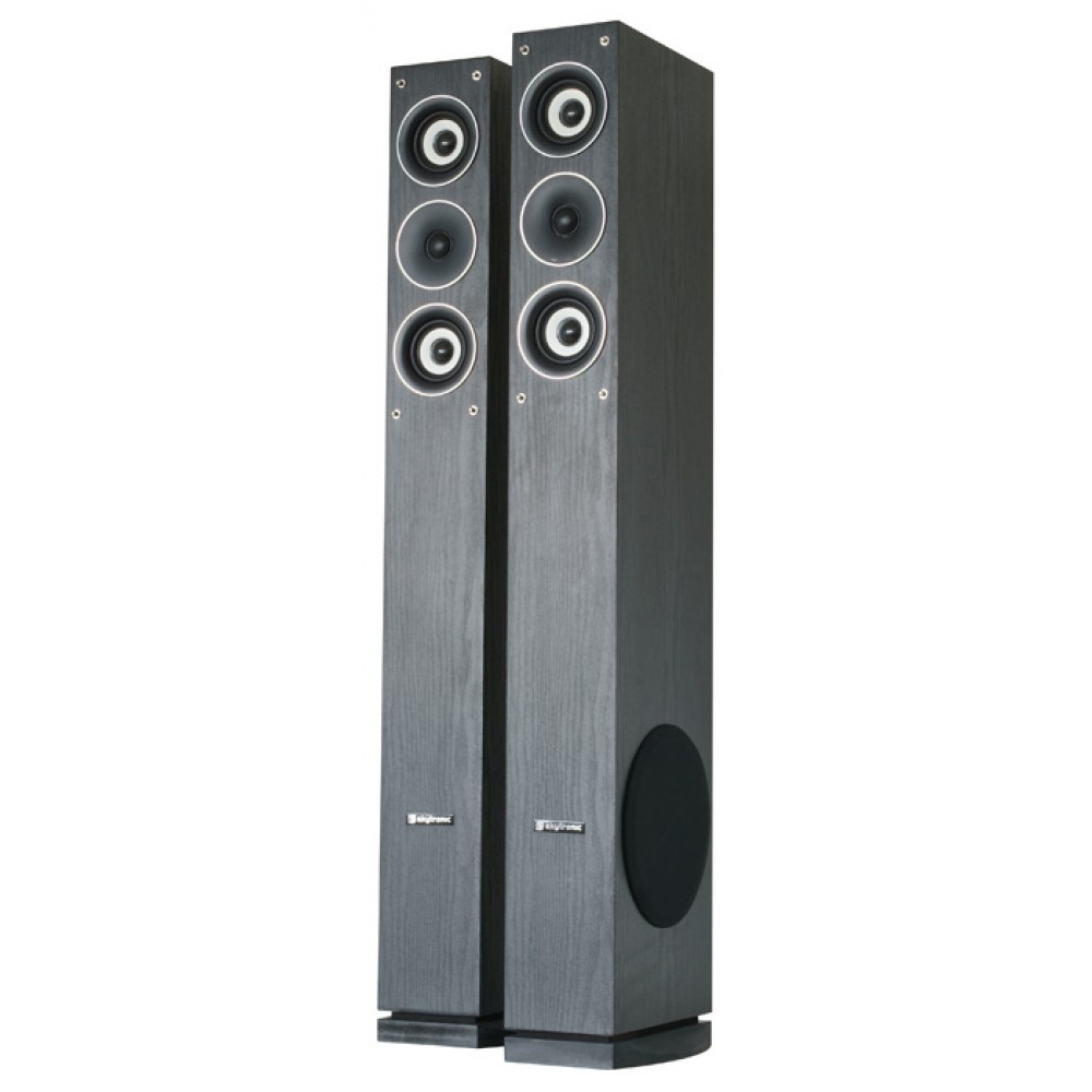 Oorlogsschip Anesthesie scheren TOWER-SPEAKERS 3-WEG 500W PER SET - Skytronic hifi - Home-Hifi | Eijlander  Electronics