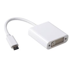 USB-C NAAR DVI FEMALE 1080P CONVERTER