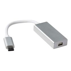 USB-C NAAR MINI DISPLAYPORT FEMALE CONVERTER