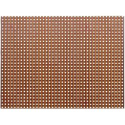 EXPERIMENTER PRINTPLAAT STREEP RASTER 2.54MM 500X100MM PERTINAX