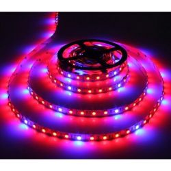 LED STRIP GROW LIGHT ROOD/BLAUW 1M X 12MM 12VDC/7W 60LEDSIP61