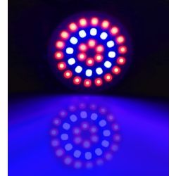 GROW LIGHT E27 3W 36 LEDS 12 BLAUW EN 24 ROOD