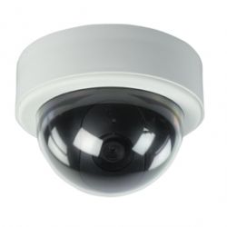 DUMMY DOME CAMERA MET LED