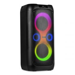PARTY SPEAKER 2X 8''