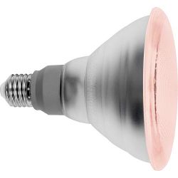 PLANTENLAMP PAR38 15W E27