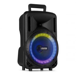 PORTABLE SOUND SYSTEM MET ACCU 10'' 450W BT,  USB, MICRO-SD/MMC MP3-SPELER, DRAADLOZE MICROFOON