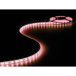 LED STRIP RGB 1M X 10MM 12VDC/14W 60LEDS/P.M. IP61 ZELFKLEVED