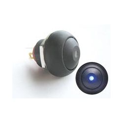 BUTTON ROND 1 X MAAK 250V 0.4A MET BLAUWE LED