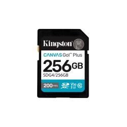 SECURE DIGITAL UHS 256GB CLASS10 200MB/S READ, 160MB/S WRITE
