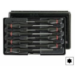 SCHROEVENDRAAIERSET 8 DELIG    8 X TORX