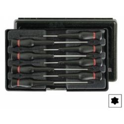 SCHROEVENDRAAIERSET 8 DELIG    8 X TORX