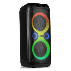 PARTY SPEAKER 2X 8''