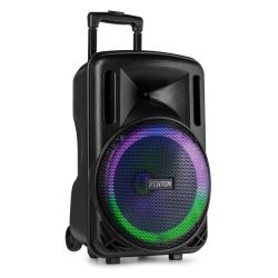 PORTABLE SOUND SYSTEM MET ACCU 10'' 700W BT,  USB, MICRO-SD/MMC MP3-SPELER, DRAADLOZE MICROFOON