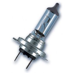 STANDAARD 12V 55W H7 PX26D