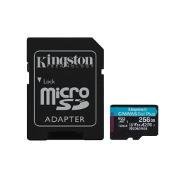 MICRO SD CLASS 10 UHS-1 U3 256GB 200 MB/S READ - 160 MB/S WRITE