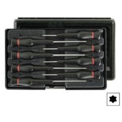 SCHROEVENDRAAIERSET 8 DELIG    8 X TORX